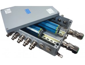 СКМ-15.233311-Ех іа-(60/2,5)bl-(2/2,5)-2(B)/25E1FX1RA5.....